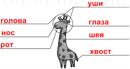 Решение рисунок 2