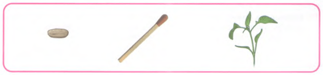 Задание рисунок 1