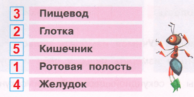 Решение рисунок 1