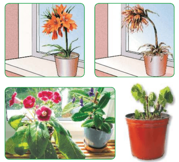 Задание рисунок 1