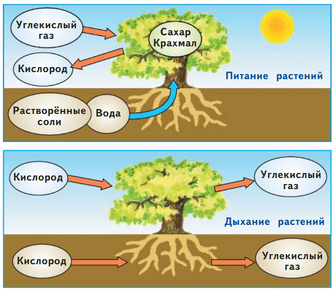 Задание рисунок 1