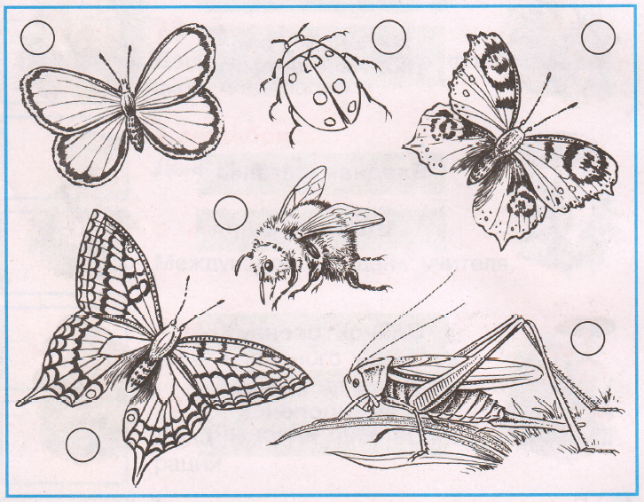 Задание рисунок 1