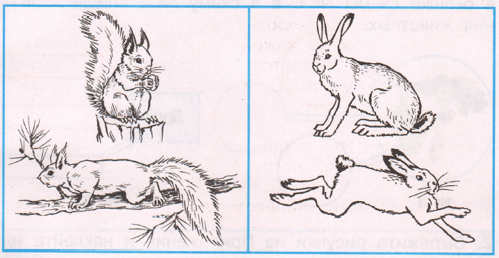 Задание рисунок 1