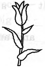 Задание рисунок 1